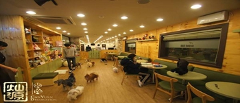 與寵物相結合的南寧咖啡廳設計